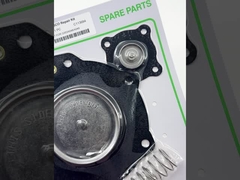 Κίτ επισκευής διαφράγματος ASCO 2 ιντσών C113684 SCG353A048