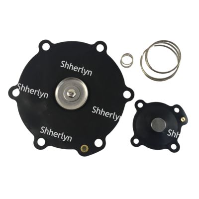 Επισκευή διαφράγματος 2 ιντσών DB116 DB16 VNP216 VEM216 VNP316 VITON