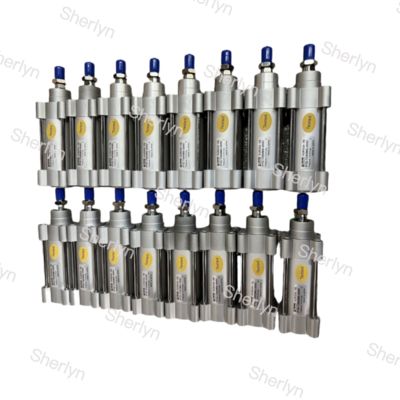 Σειρά P1F PARKER ISO15552 P1F-S032MC-0075-0000 Κύλινδρος Αέρα Διπλής Ενέργειας Εξαρτήματα Αυτοματισμού