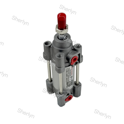 RA/802032/M/125 Κύλινδρος Διπλής Ενέργειας 32mm Διάμετρος 125mm Διαδρομή