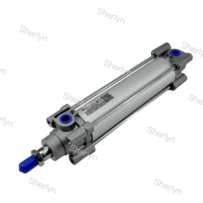 40 mm Πνευματικός κύλινδρος για Norgren RA/802040/M/100 100 mm Στροφή 40 mm