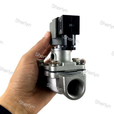 CA20T CA20T010-300 CA20T010-305 Goyen Πνευματική βαλβίδα Παλμός βαλβίδα 3/4 ίντσες