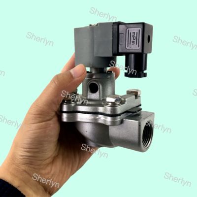 CA20T CA20T010-300 CA20T010-305 Goyen Πνευματική βαλβίδα Παλμός βαλβίδα 3/4 ίντσες