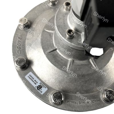 GOYEN  Ηλεκτρομαγνητική βαλβίδα παλμού CA62T 2 1/2 Γωνιακού τύπου Κατάλληλη για διάφραγμα K5004 K5000