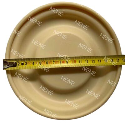 BSK Diaphragm Pump BSK-25/40/50/80 Pneumatic Diaphragm Pump Accessories Diaphragm