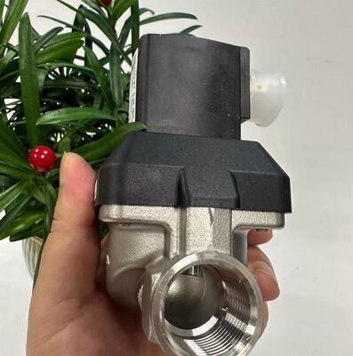 BurkeRT 6213EV 00222168 00222169 00222170 Συνήθως κλειστή σόλενοειδής βαλβίδα Σόλενοειδής βαλβίδα από ανοξείδωτο χάλυβα Πνευματική βαλβίδα ελέγχου