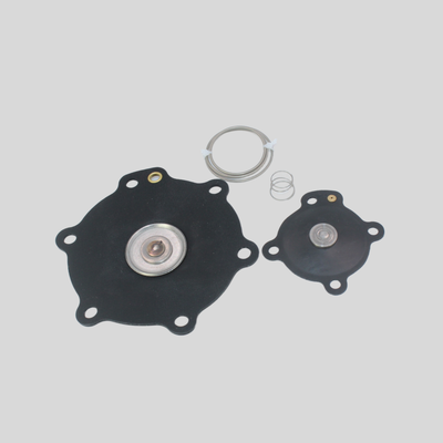 DB114 DB16 Diaphragm Kit With 2 Springs FKM Material Sealed Pack M Bag Packaging Fit For Mecair Pulse Jet Valve Combined Repair Spare Parts Compatible Valve VNP/VEM214, VNP/VEM314