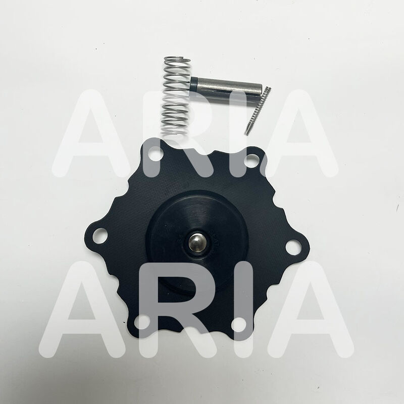 Κίτ επισκευής ASCO K302284 K302383 Για SCE210D022 8210G022 Σολενοειδή βαλβίδα, 1-1/2 "DN40 διάφραγμα ανταλλακτικά