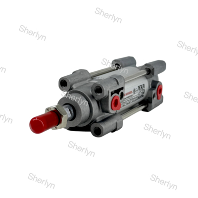 RA/802032/M/125 Κύλινδρος Διπλής Ενέργειας 32mm Διάμετρος 125mm Διαδρομή